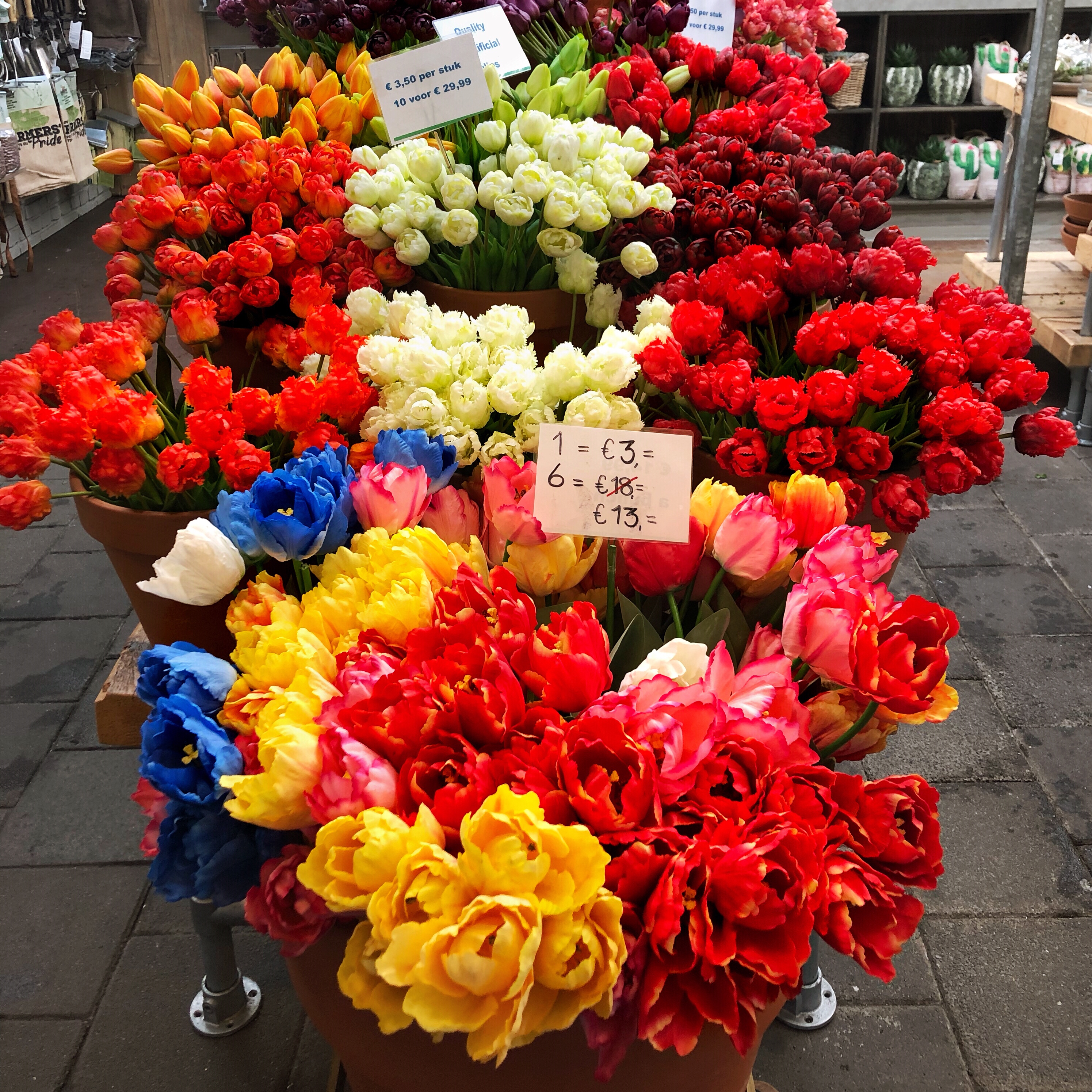 Amsterdam flowers street memory
