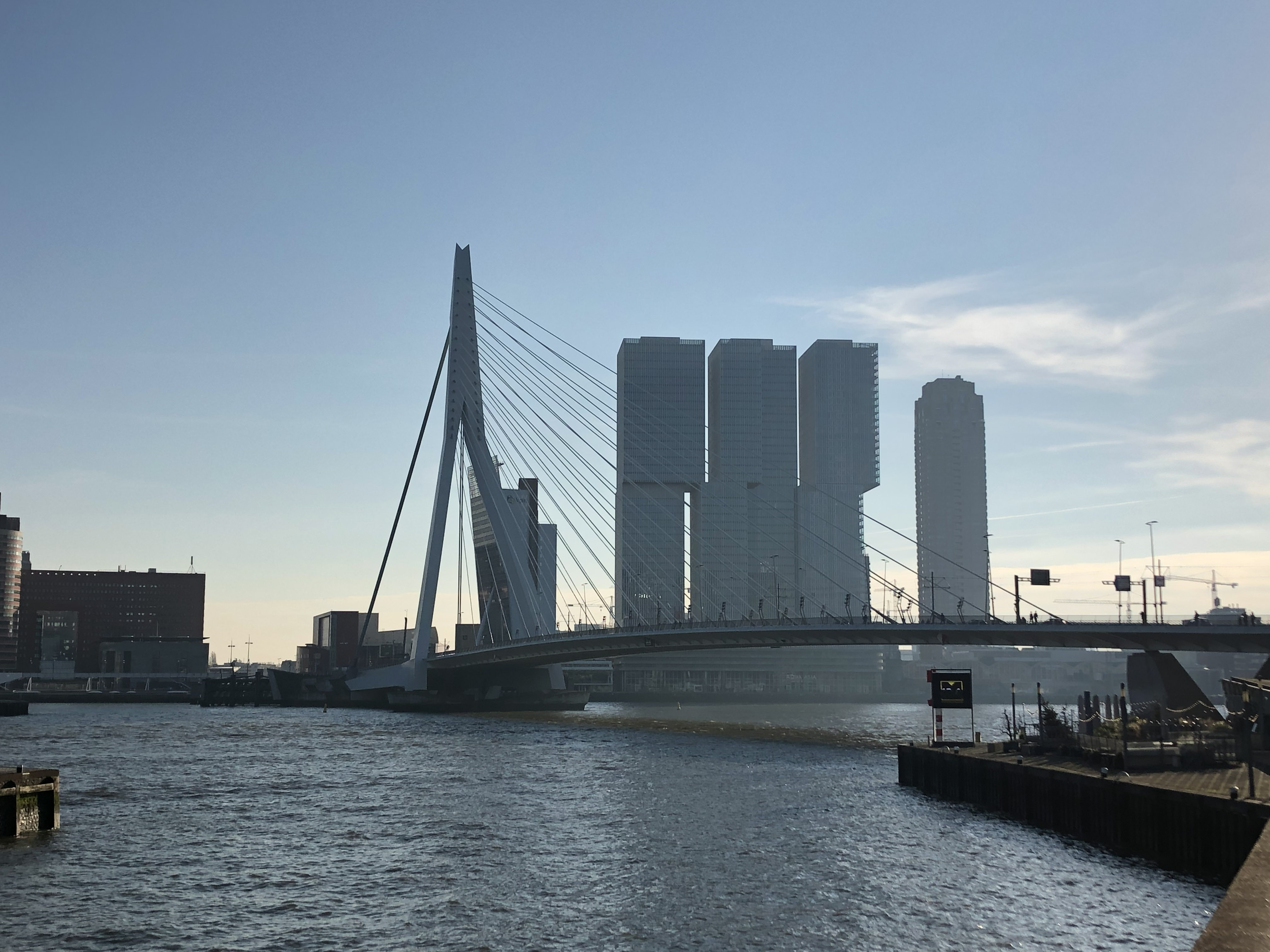Erasmus Bridge Rotterdam travel memory