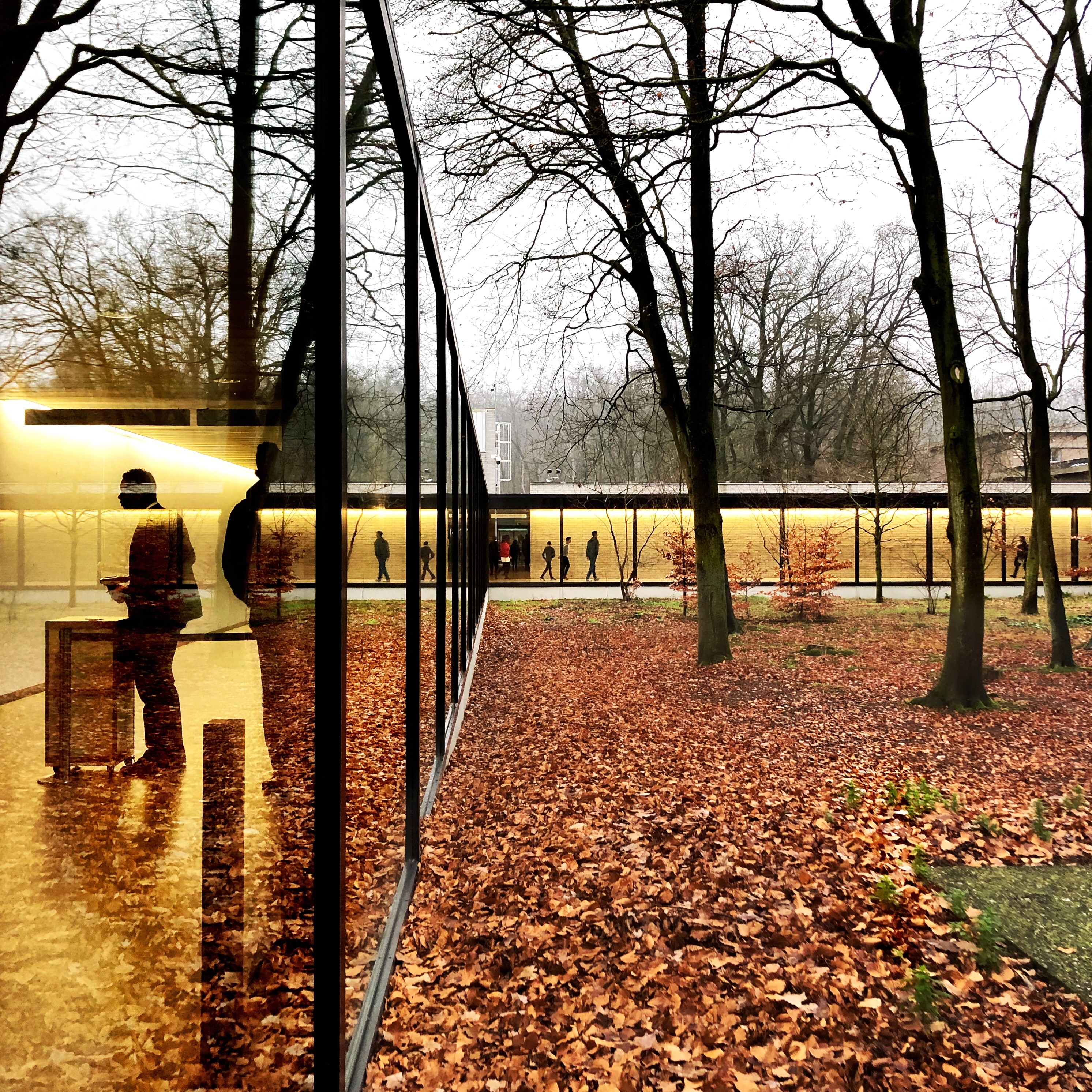Kroller Muller Museum forest travel memory